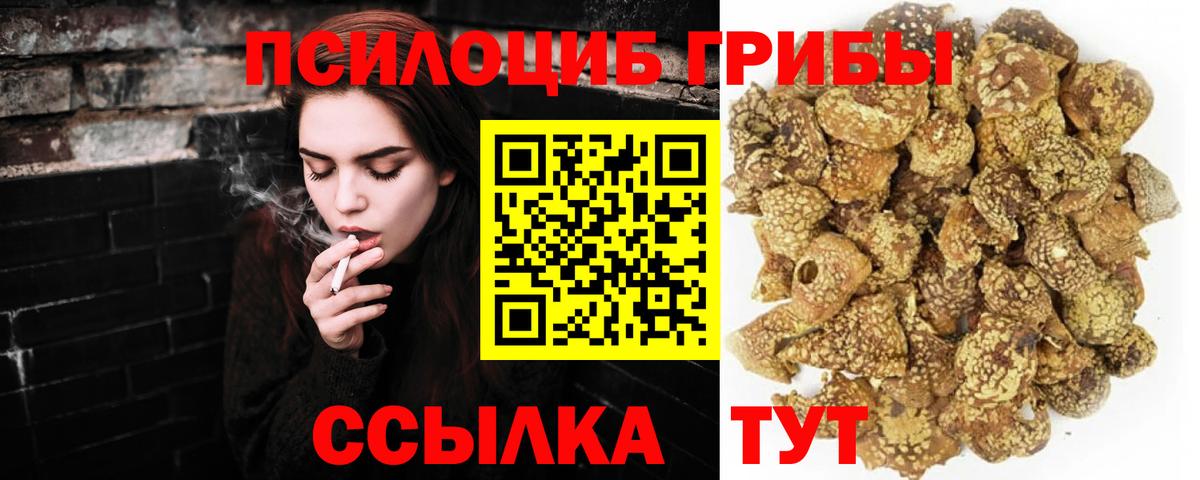 Псилоцибиновые грибы ЛСД  Вход с VPN  Белебей  Псилоцибиновые грибы Psilocybine cubensis 